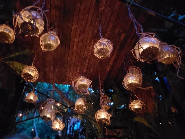 Rhythms of the Night